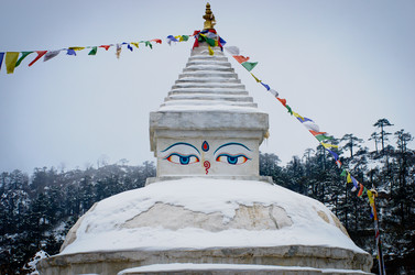 Similar image 8269118