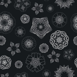 Similar image 8269251