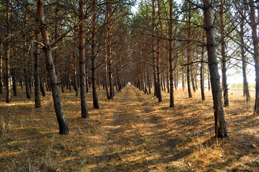 Similar image 8269252