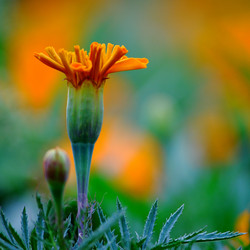 Similar image 8269255