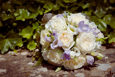 Similar image 8269256