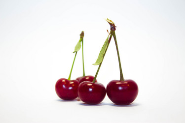 Similar image 8269257