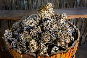 Similar image 8269266