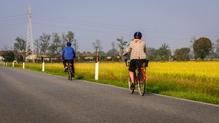 Similar image 8269286