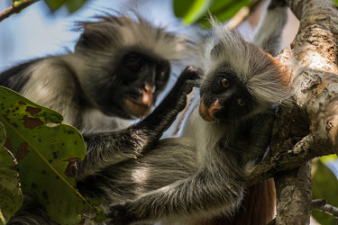 Similar image 8269307