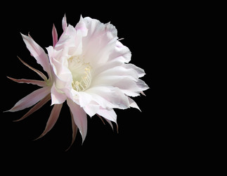 Similar image 8269322