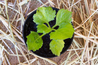 Similar image 8269326