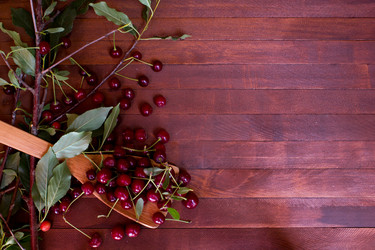 Similar image 8269334