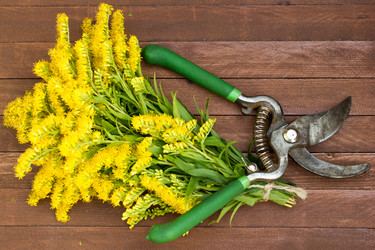 Similar image 8269336