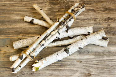 Similar image 8269350