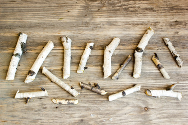 Similar image 8269355