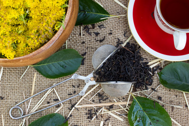 Similar image 8269356