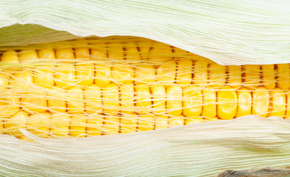 Similar image 8269371