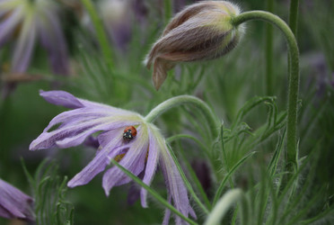 Similar image 8269381