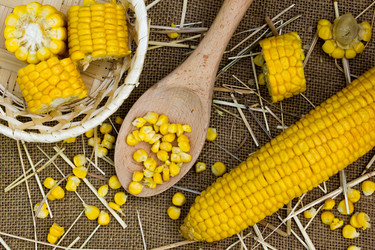 Similar image 8269392