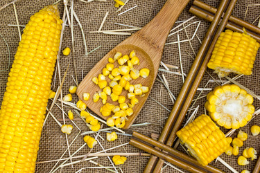 Similar image 8269396