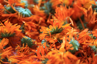 Similar image 8269439