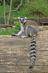 Similar image 8269481