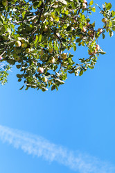 Similar image 8269490