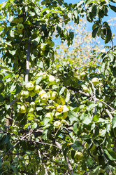 Similar image 8269495