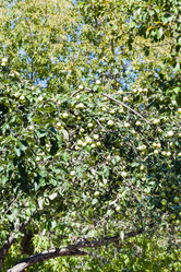 Similar image 8269498