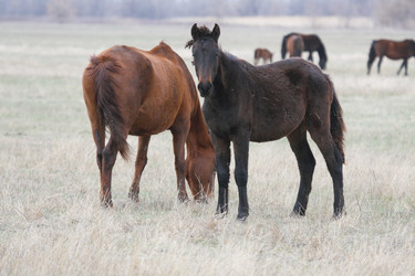 Similar image 8269528