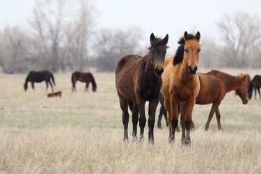 Similar image 8269529