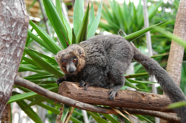 Similar image 8269561