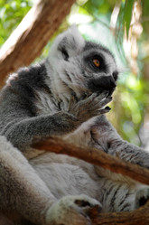 Similar image 8269567