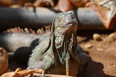 Similar image 8269568