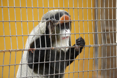 Similar image 8269572