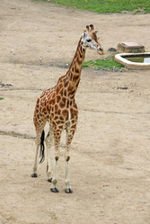 Similar image 8269607