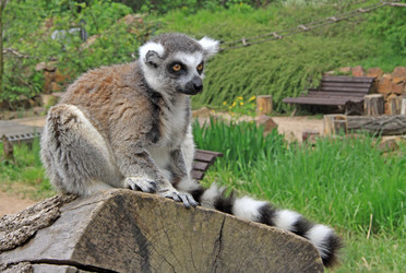 Similar image 8269610