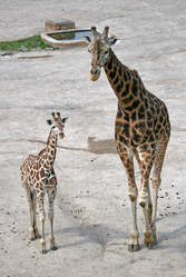 Similar image 8269620