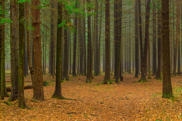 Similar image 8269668