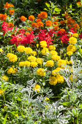 Similar image 8269824