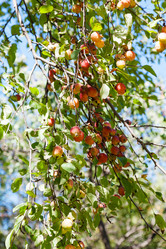 Similar image 8269830