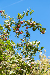 Similar image 8269858