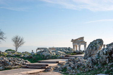 Similar image 8269961