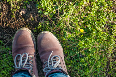 Similar image 8269994