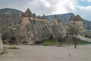 Similar image 8270036