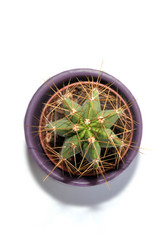 Similar image 8270112