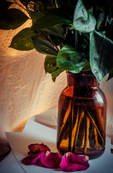 Similar image 8270140