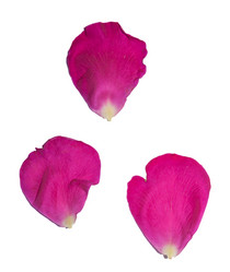 Similar image 8270152