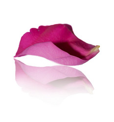 Similar image 8270155