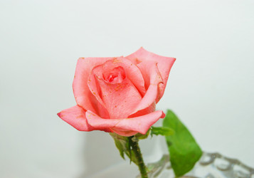 Similar image 8270159