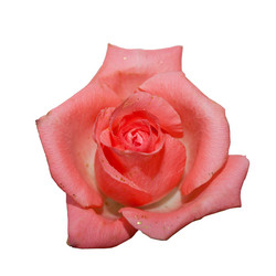 Similar image 8270163