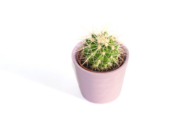 Similar image 8270176