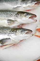 Similar image 8270202