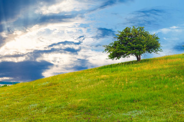 Similar image 8270239